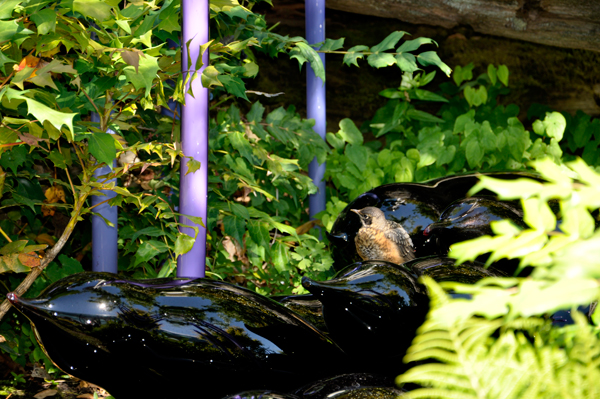 bird on the sculptures